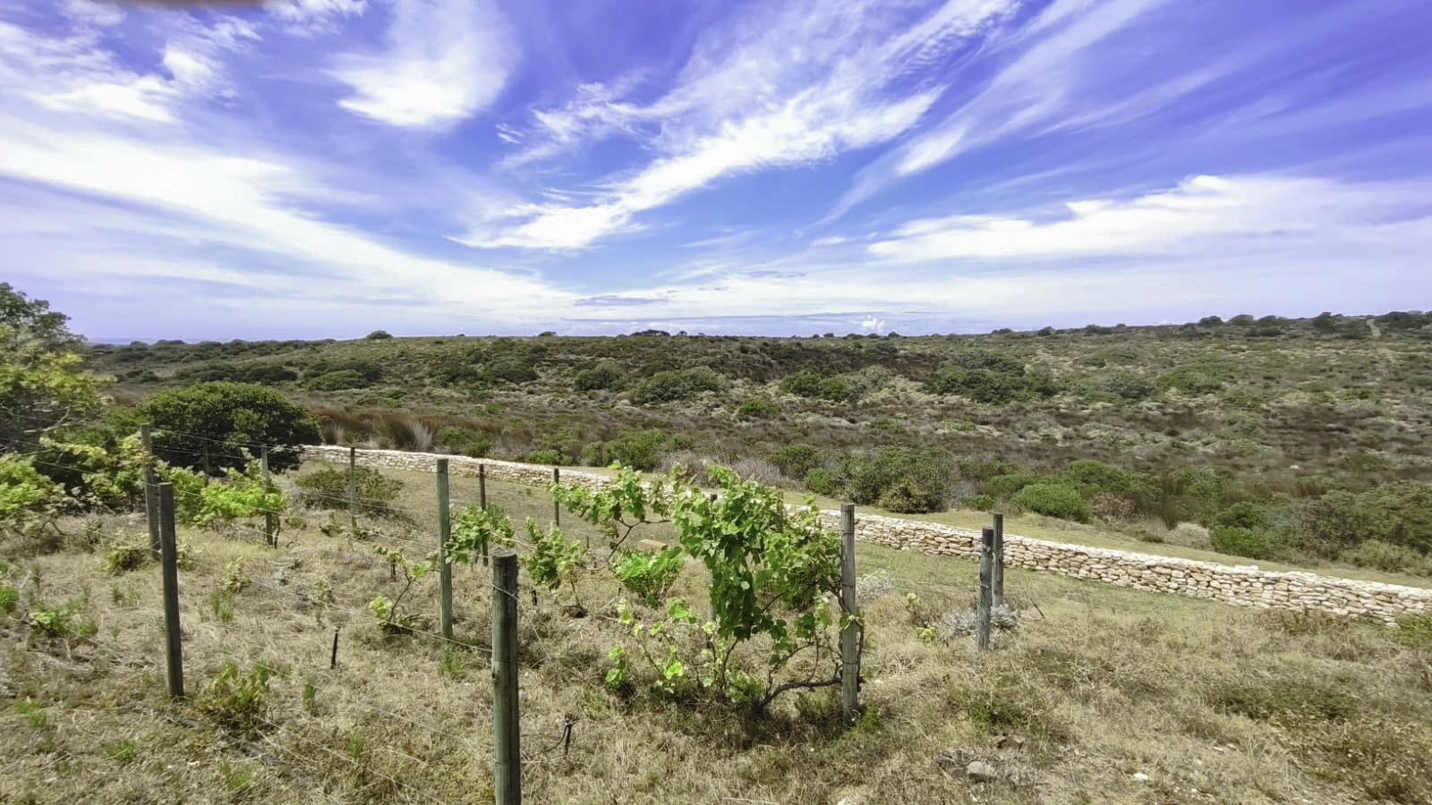 3 Bedroom Property for Sale in Stilbaai Rural Western Cape